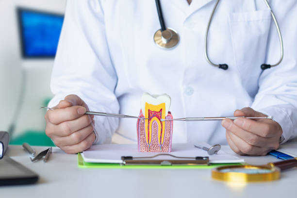 Best After-Hours Dental Trauma Care in Lewisburg, TN